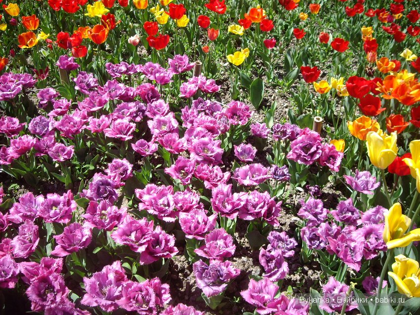 Сказка с названием " Крым". Часть 2