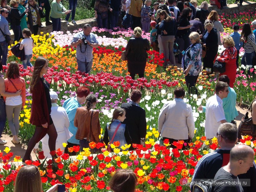 Сказка с названием " Крым". Часть 2