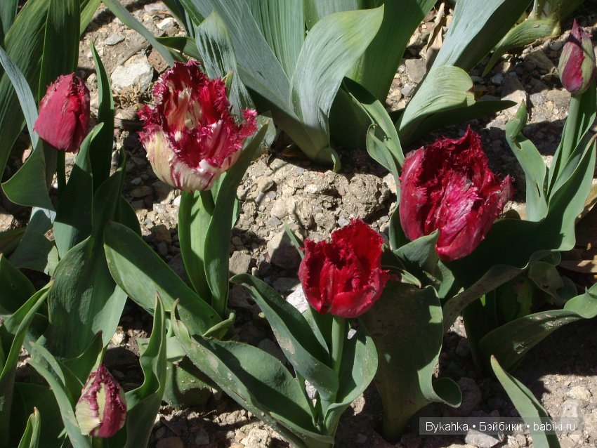 Сказка с названием " Крым". Часть 2