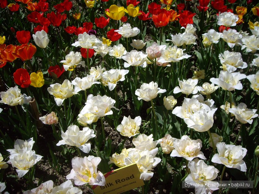 Сказка с названием " Крым". Часть 2