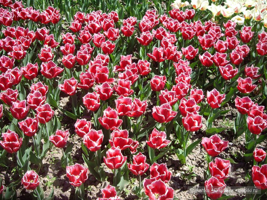 Сказка с названием " Крым". Часть 2