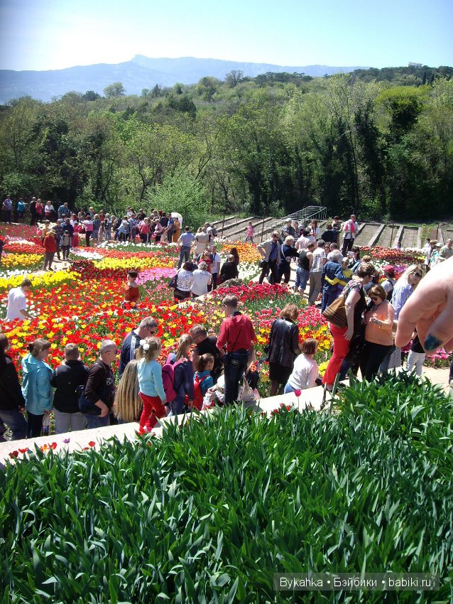 Сказка с названием " Крым". Часть 2 (фото 2)