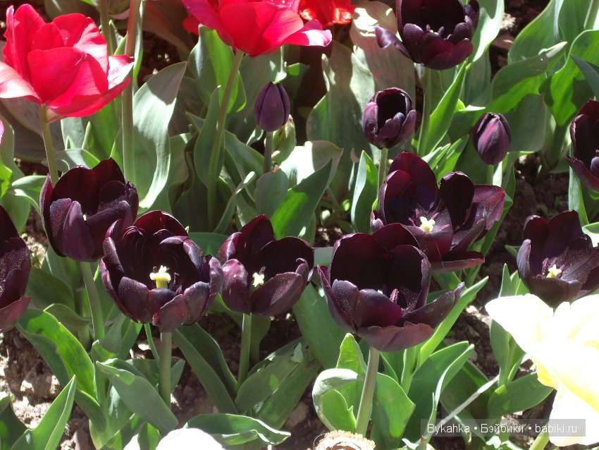 Сказка с названием " Крым". Часть 2