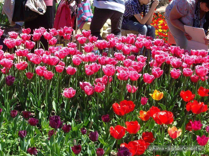 Сказка с названием " Крым". Часть 2