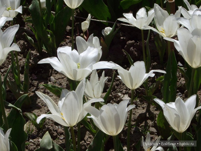 Сказка с названием " Крым". Часть 2