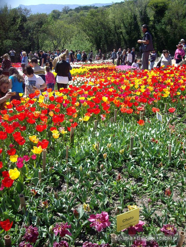 Сказка с названием " Крым". Часть 2