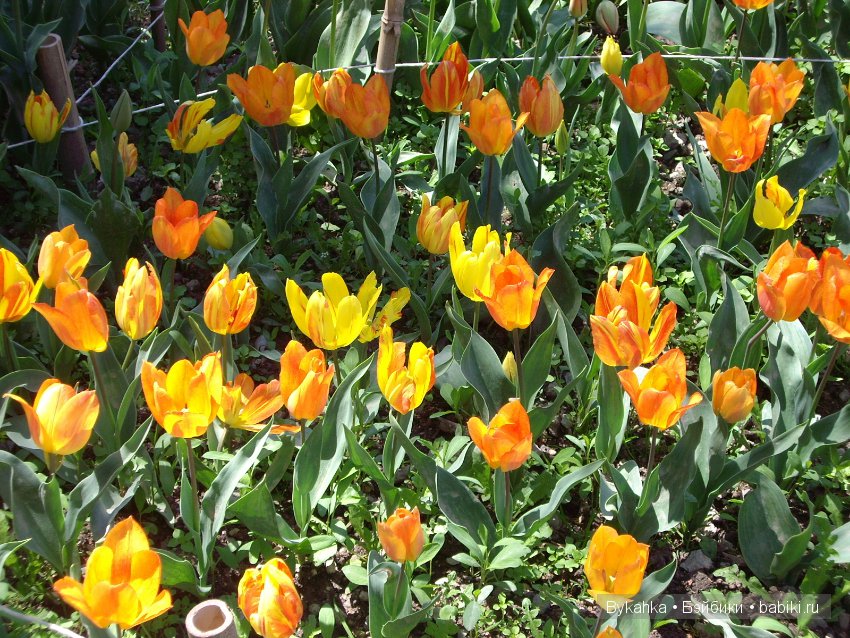 Сказка с названием " Крым". Часть 2