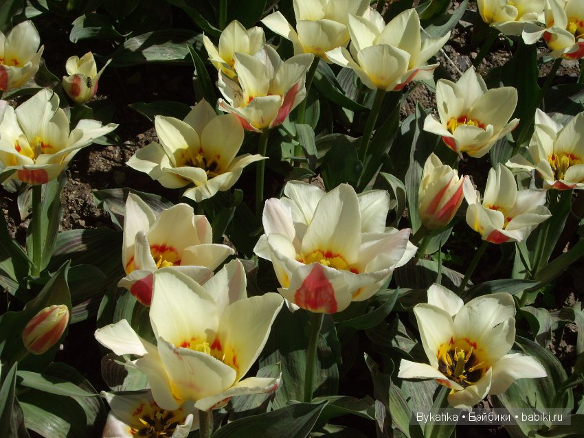 Сказка с названием " Крым". Часть 2