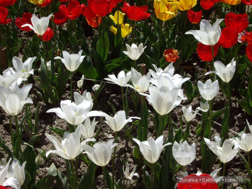 Сказка с названием " Крым". Часть 2