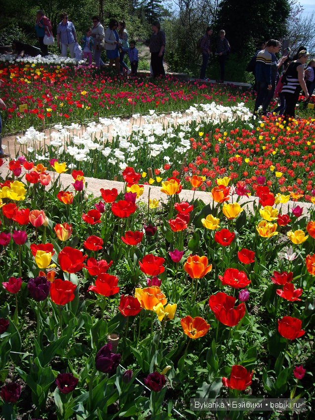 Сказка с названием " Крым". Часть 2