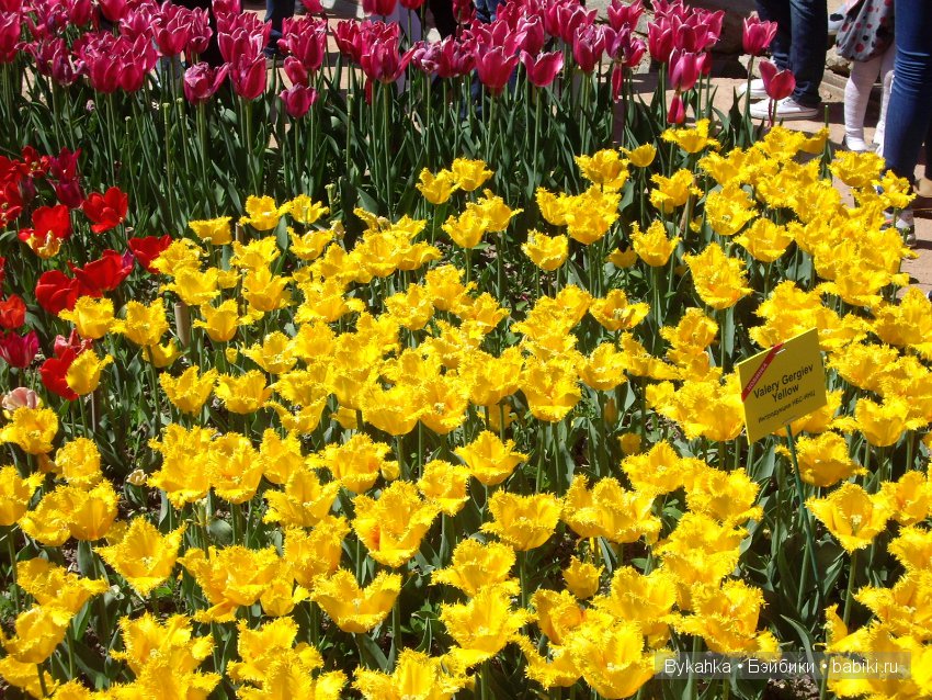 Сказка с названием " Крым". Часть 2