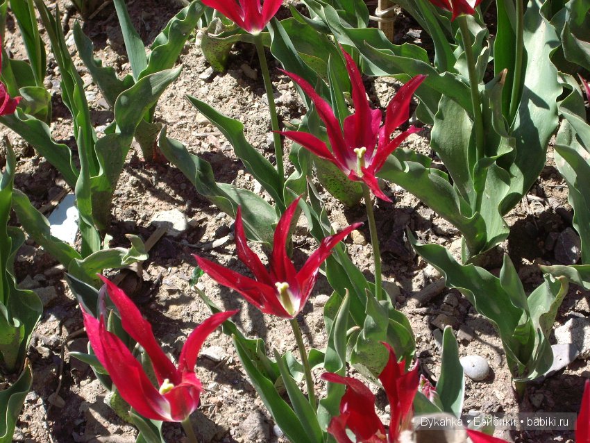 Сказка с названием " Крым". Часть 2