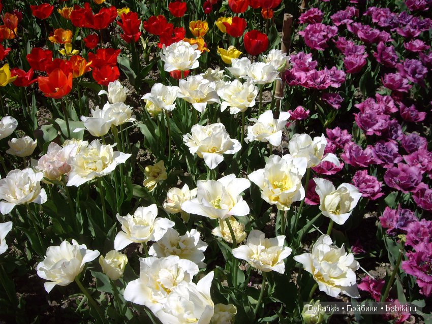 Сказка с названием " Крым". Часть 2