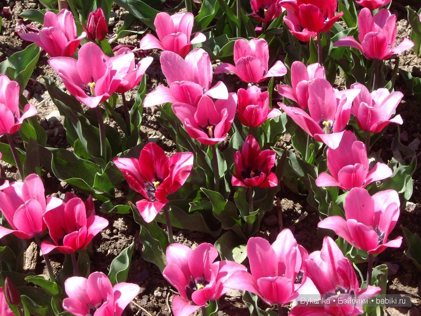 Сказка с названием " Крым". Часть 2