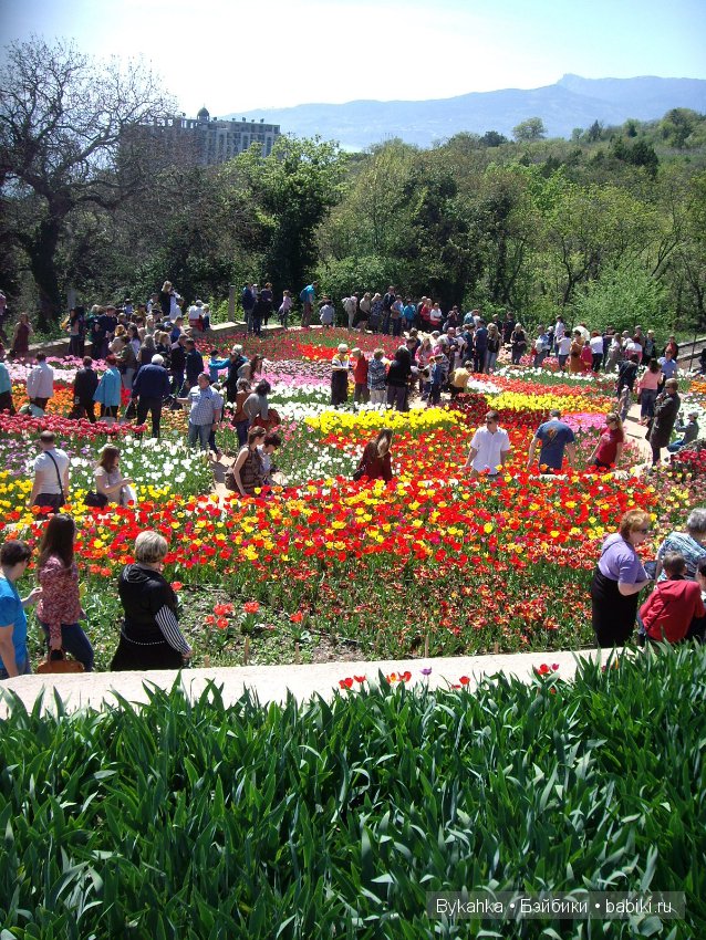 Сказка с названием " Крым". Часть 2 (фото 3)