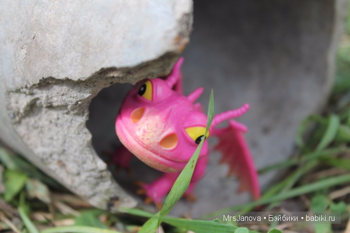 Что делать, если вы встретили дракона