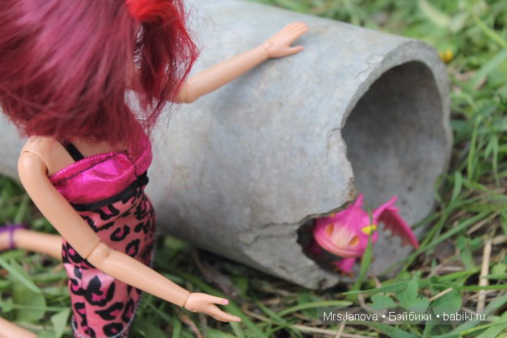 Что делать, если вы встретили дракона