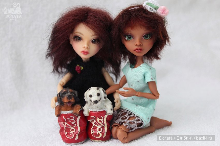 Гостьюшка, AmiGaTa Cuatra by Timur Zeleev