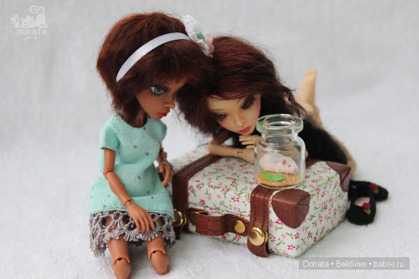 Гостьюшка, AmiGaTa Cuatra by Timur Zeleev