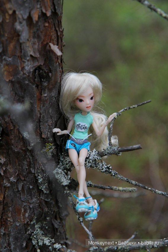 А вы видали, как цветет морошка (фото 3)