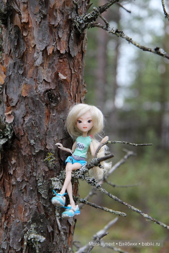 А вы видали, как цветет морошка (фото 2)