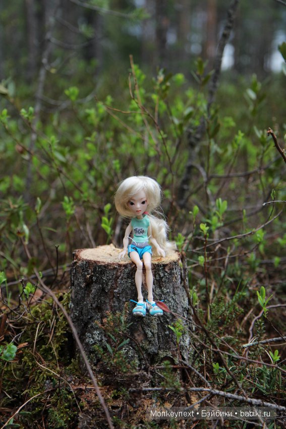 А вы видали, как цветет морошка