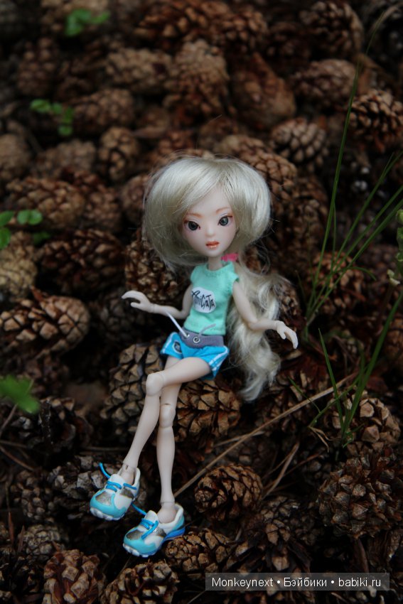 А вы видали, как цветет морошка (фото 4)