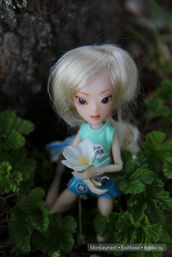 А вы видали, как цветет морошка