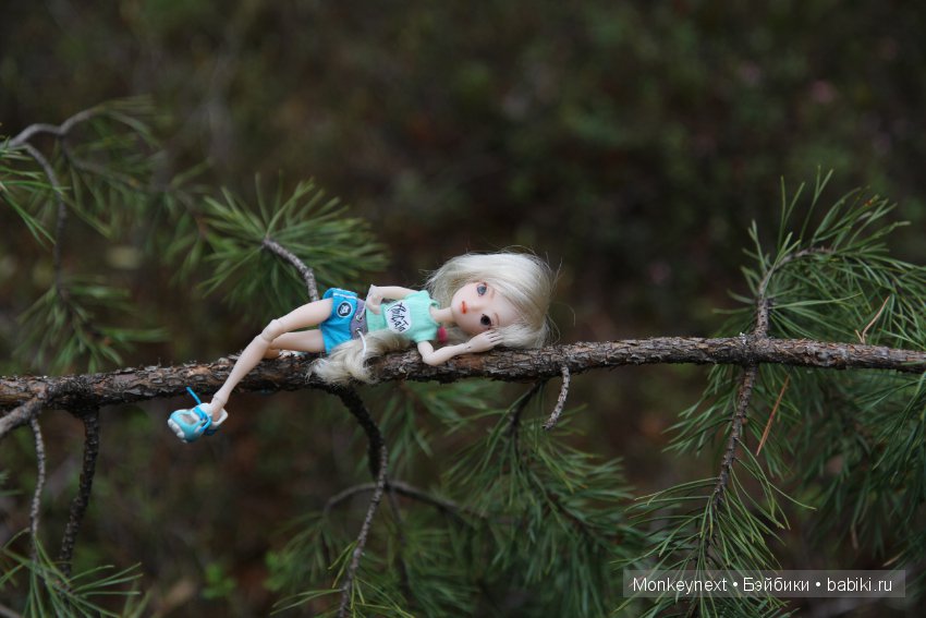 А вы видали, как цветет морошка (фото 8)