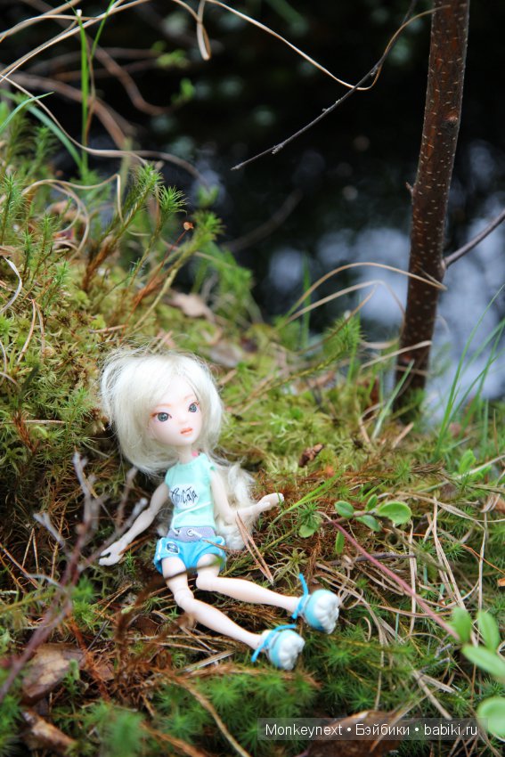 А вы видали, как цветет морошка