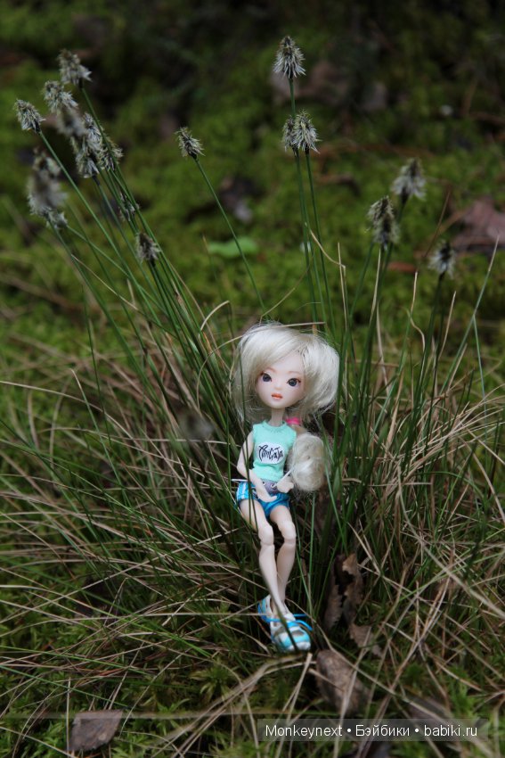 А вы видали, как цветет морошка (фото 10)