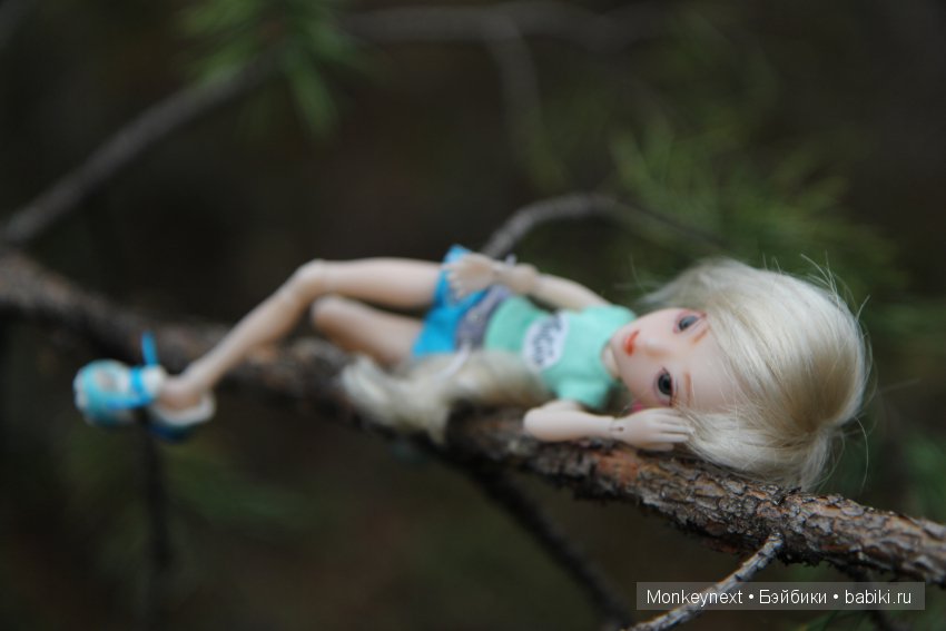 А вы видали, как цветет морошка (фото 9)