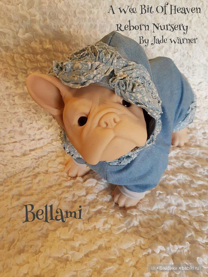 Молд для собачки реборн. Bulldog от Jade Warner