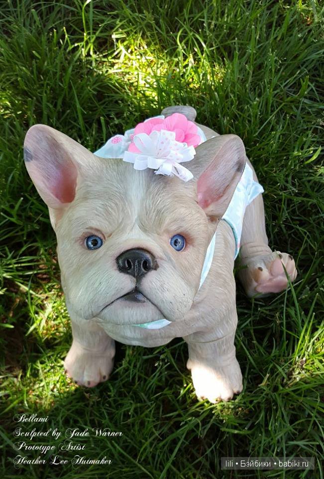 Молд для собачки реборн. Bulldog от Jade Warner (фото 8)