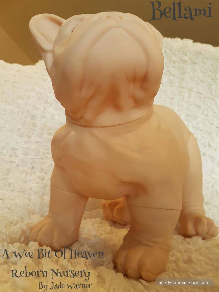 Молд для собачки реборн. Bulldog от Jade Warner (фото 6)