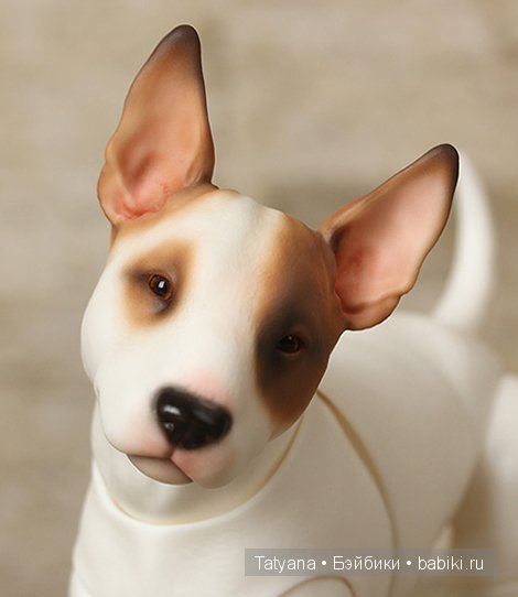 Бультерьеры и Бостон терьеры от Iplehouse со скидкой 10% (фото 3)