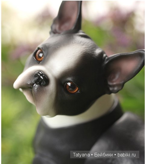 Бультерьеры и Бостон терьеры от Iplehouse со скидкой 10% (фото 6)