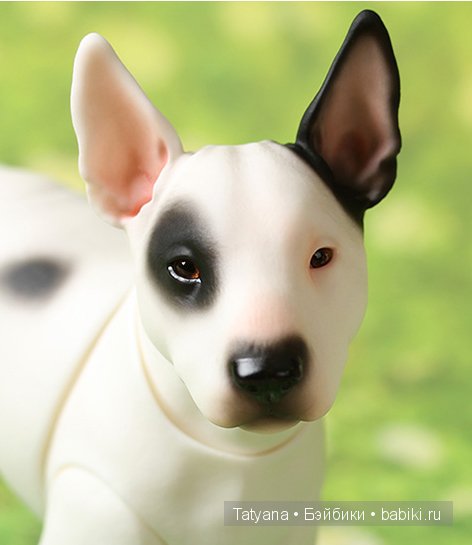 Бультерьеры и Бостон терьеры от Iplehouse со скидкой 10% (фото 4)