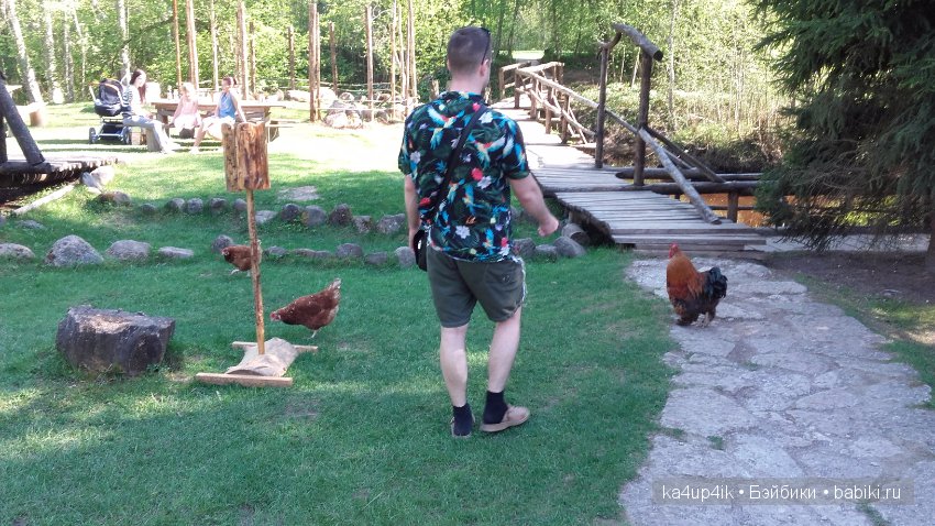 Как мы ездили в Деревню Викингов