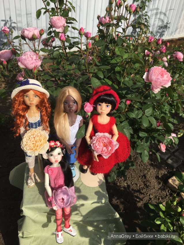 Любите ли вы английские розы