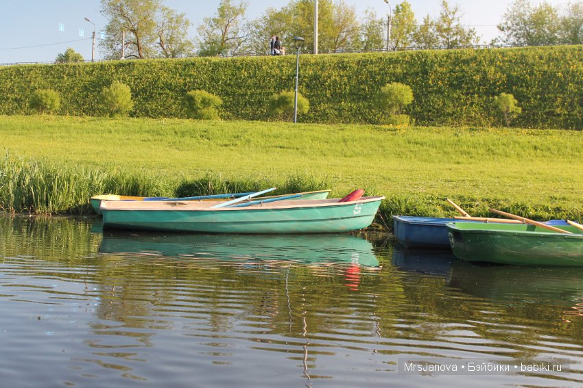 Жаркий день у озера — Интересное и необычное: фотоподборки