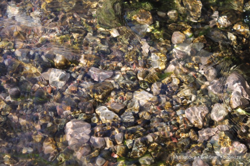 Жаркий день у озера — Интересное и необычное: фотоподборки