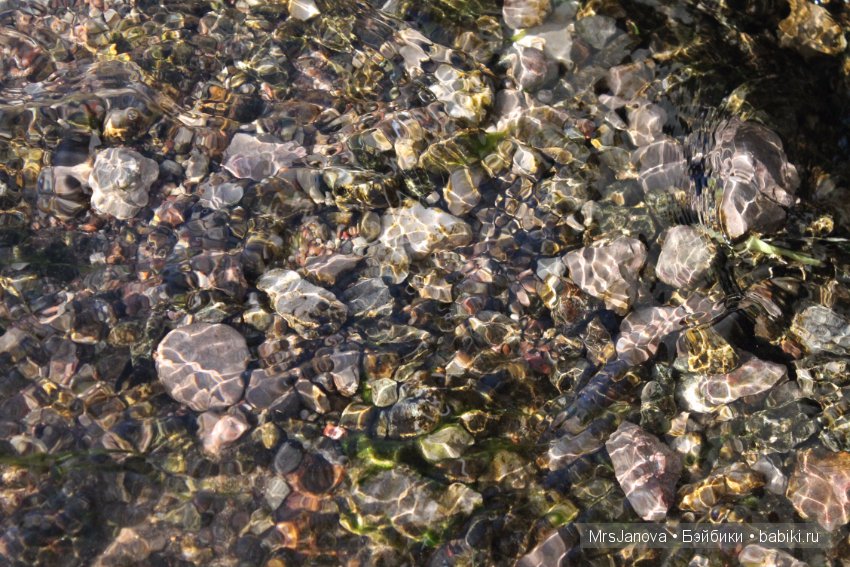 Жаркий день у озера — Интересное и необычное: фотоподборки