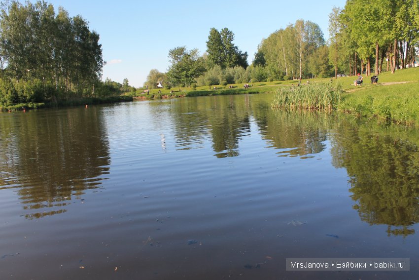Жаркий день у озера — Интересное и необычное: фотоподборки (фото 5)