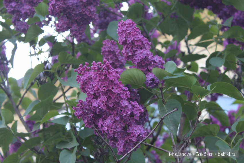 Жаркий день у озера — Интересное и необычное: фотоподборки