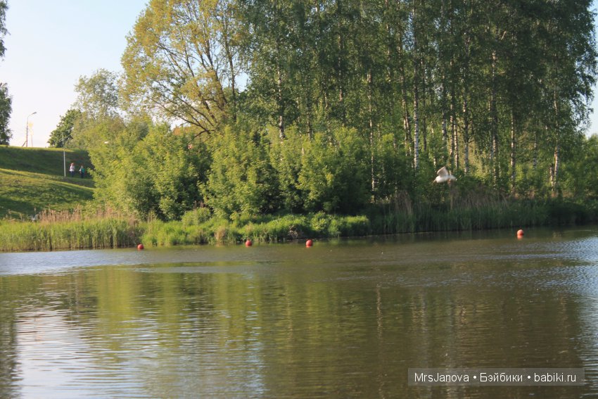 Жаркий день у озера — Интересное и необычное: фотоподборки (фото 7)