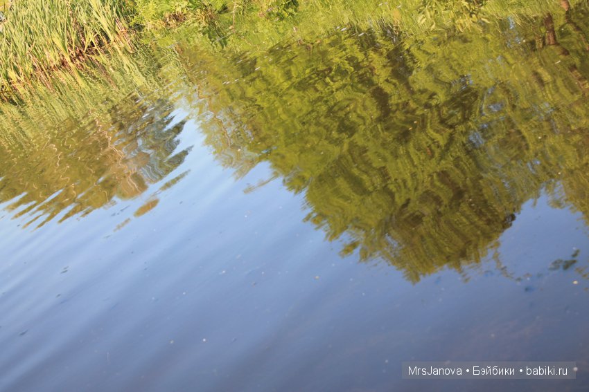 Жаркий день у озера — Интересное и необычное: фотоподборки (фото 6)