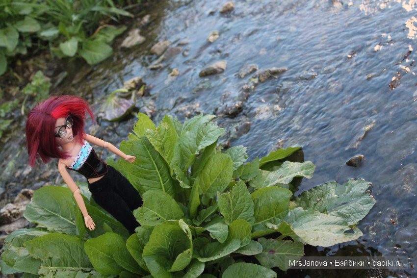 Жаркий день у озера — Интересное и необычное: фотоподборки