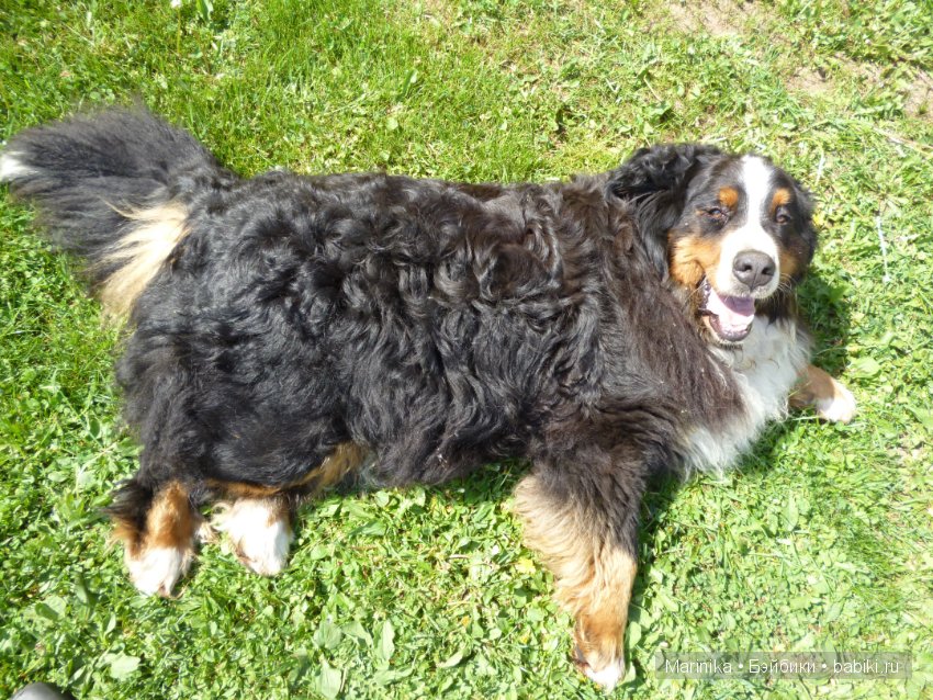 Мои первые шаги по созданию публикаций (фото 6)