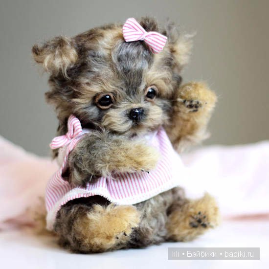 Авторские игрушки Анны Волковой